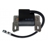 DZE CEWKOMODUŁ SILNIK BRIGGS STRATTON (OEM 793353 590455 792640 792631 799382 793354)