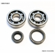 BEARING WORX ŁOŻYSKA WAŁU KORBOWEGO SUZUKI RM 80/85 89-16 (NTN) (MADE IN JAPAN) (24-1014)