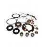 ARROWHEAD ZESTAW NAPRAWCZY ROZRUSZNIKA YAMAHA XS 1100 78-81 (BEZ SZCZOTKOTRZYMACZA) - WYCOFANY Z OFERTY