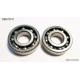 BEARING WORX ŁOŻYSKA WAŁU KORBOWEGO SUZUKI LTR 450 '06-'12 (NTN) (MADE IN JAPAN) (24-1116) (K051)