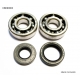 BEARING WORX ŁOŻYSKA WAŁU KORBOWEGO Z USZCZELNIACZAMI YAMAHA YZ 125 01-04 (NTN) (MADE IN JAPAN) (24-1025)