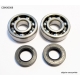 BEARING WORX ŁOŻYSKA WAŁU KORBOWEGO YAMAHA YZ 125 '05-'21 (NTN) (MADE IN JAPAN) (24-1062)