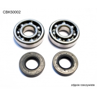 BEARING WORX ŁOŻYSKA WAŁU KORBOWEGO KAWASAKI KX 65/80/85, SUZUKI RM 60/65 (NTN) (MADE IN JAPAN) (24-1006)