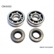 BEARING WORX ŁOŻYSKA WAŁU KORBOWEGO KAWASAKI KX 65/80/85, SUZUKI RM 60/65 (NTN) (MADE IN JAPAN) (24-1006)