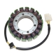 ELECTROSPORT UZWOJENIE ALTERNATORA (STATOR) DUCATI 749/999/1098/1198 (017.1A)