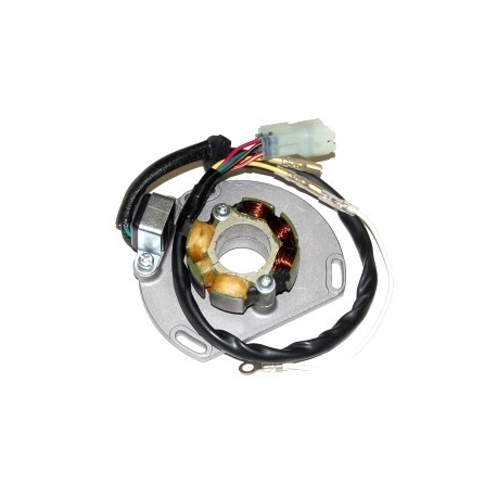 ELECTROSPORT UZWOJENIE ALTERNATORA (STATOR) ZE ŚWIATŁAMI KTM 125/200/250/300 EXC/SX/XC 06- (50W) KOMPLET Z PŁYTĄ I IMPULSATOREM