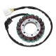 ELECTROSPORT UZWOJENIE ALTERNATORA (STATOR) HONDA CBR 900RR '00-'01 (CBR929)