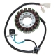 ELECTROSPORT UZWOJENIE ALTERNATORA (STATOR) YAMAHA FZR 600R (89-99) (Z IMPULSATOREM)