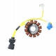 ELECTROSPORT UZWOJENIE ALTERNATORA (STATOR) APRILIA / DERBI / GILERA / ITALJET / MALAGUTI / PIAGGIO / VESPA 125/150/200CCM