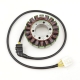 ELECTROSPORT UZWOJENIE ALTERNATORA (STATOR) HONDA CBR 1100XX (99-03)