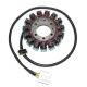 ELECTROSPORT UZWOJENIE ALTERNATORA (STATOR) KAWASAKI ZX-14 NINJA '06-'17