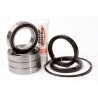 PIVOT WORKS ŁOŻYSKA KOŁA TYLNEGO SUZUKI LT-R 450 (06-09) (LTR450)