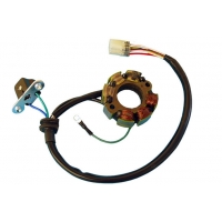 ELECTREX UZWOJENIE ALTERNATORA (STATOR) SUZUKI RMZ 250 , RMZ 450