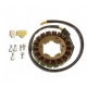 ELECTREX UZWOJENIE ALTERNATORA (STATOR) HONDA CBR 900 RR '00-'01, CBR 929 '00-'01, FJS 600 SILVERWING '01-'10 (115X54X18MM)