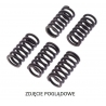 TRW ZF SPRĘŻYNY SPRZĘGŁOWE HUSQVARNA TX 125 '17-, KTM SX 125/150 '16-'18, SX-F 250 '04-'12, EXC-F 250 '07-'13, XC-F/XCF-W 250 '0