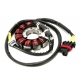 BRONCO UZWOJENIE ALTERNATORA STATOR CAN AM MAVERIC TURBO RR/MAX TURBO RR '21, (420686363)