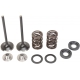 VALVE KIT INTAKE STAINLESS STEEL