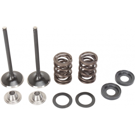 VALVE KIT INTAKE STAINLESS STEEL