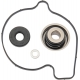 WATER PUMP REBUILD KIT