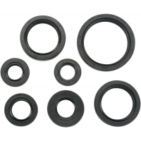 OIL SEAL SET