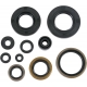 OIL SEAL SET