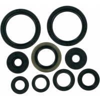 OIL SEAL SET