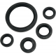 OIL SEAL SET