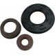 OIL SEAL SET