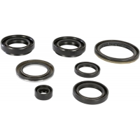 OIL SEAL SET