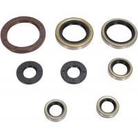 OIL SEAL SET