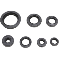 OIL SEAL SET