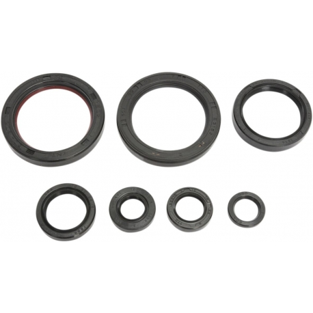 COMPLETE OIL SEAL SET