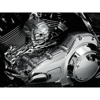 INNER PRIMARY COVER HD TOURING CHROME