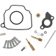 CARB REPAIR KIT