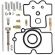 CARB REPAIR KIT