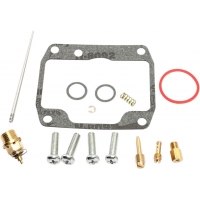 CARB REPAIR KIT