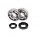 BEARING WORX ŁOŻYSKA WAŁU KORBOWEGO HONDA CR 80/85 '85-'07 (NTN) (MADE IN JAPAN) (24-1002)