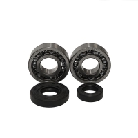 BEARING WORX ŁOŻYSKA WAŁU KORBOWEGO KTM SX 50 '02-'08 (NTN) (MADE IN JAPAN) (24-1101)