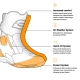 BUTY MOTOCYKLOWE OZONE RAPID