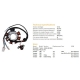 DZE UZWOJENIE ALTERNATORA STATOR YAMAHA YBR 125 '06-'12 (OEM 5VL-H5510-00)