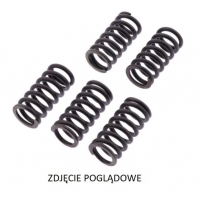 TRW ZF SPRĘŻYNY SPRZĘGŁOWE DUCATI MONSTER 1200 '19-, MULTISTRADA 1200 '10-'14, XDIAVEL 1260 '16-, PANIGALE SUPERLEGGERA 1299 '17