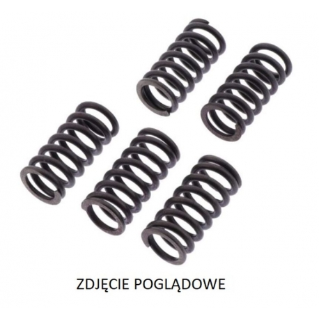 TRW ZF SPRĘŻYNY SPRZĘGŁOWE DUCATI MONSTER 1200 '19-, MULTISTRADA 1200 '10-'14, XDIAVEL 1260 '16-, PANIGALE SUPERLEGGERA 1299 '17