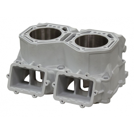 SPI SNOW CYLINDER (TWIN) SKI DOO EXPEDITION 800 R '16-'20, FREERIDE 800 R '12-'17, GSX 800 R '07-'15, MXZ 800 '08-'17, RENEGADE 
