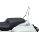 SISSYBAR W/MOUNTS IND 14+