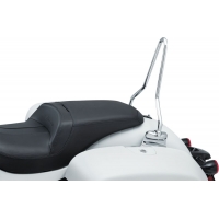 SISSYBAR W/MOUNTS IND 14+