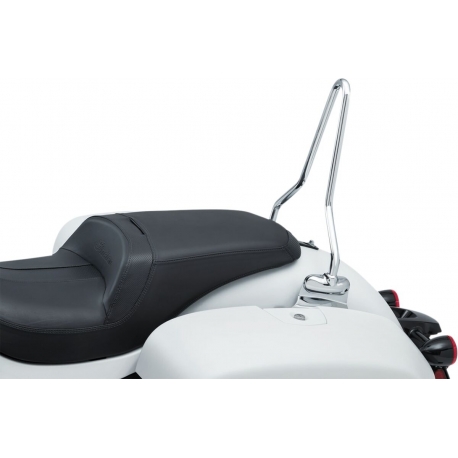 SISSYBAR W/MOUNTS IND 14+