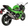SLIP-ON LINE MUFFLER TITANIUM CARBON END CAP
