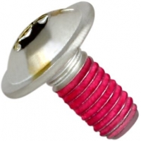 BOLT MOUNTING SCREW