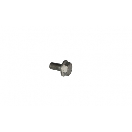 BOLT MOUNTING SCREW