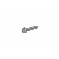 BOLT MOUNTING SCREW